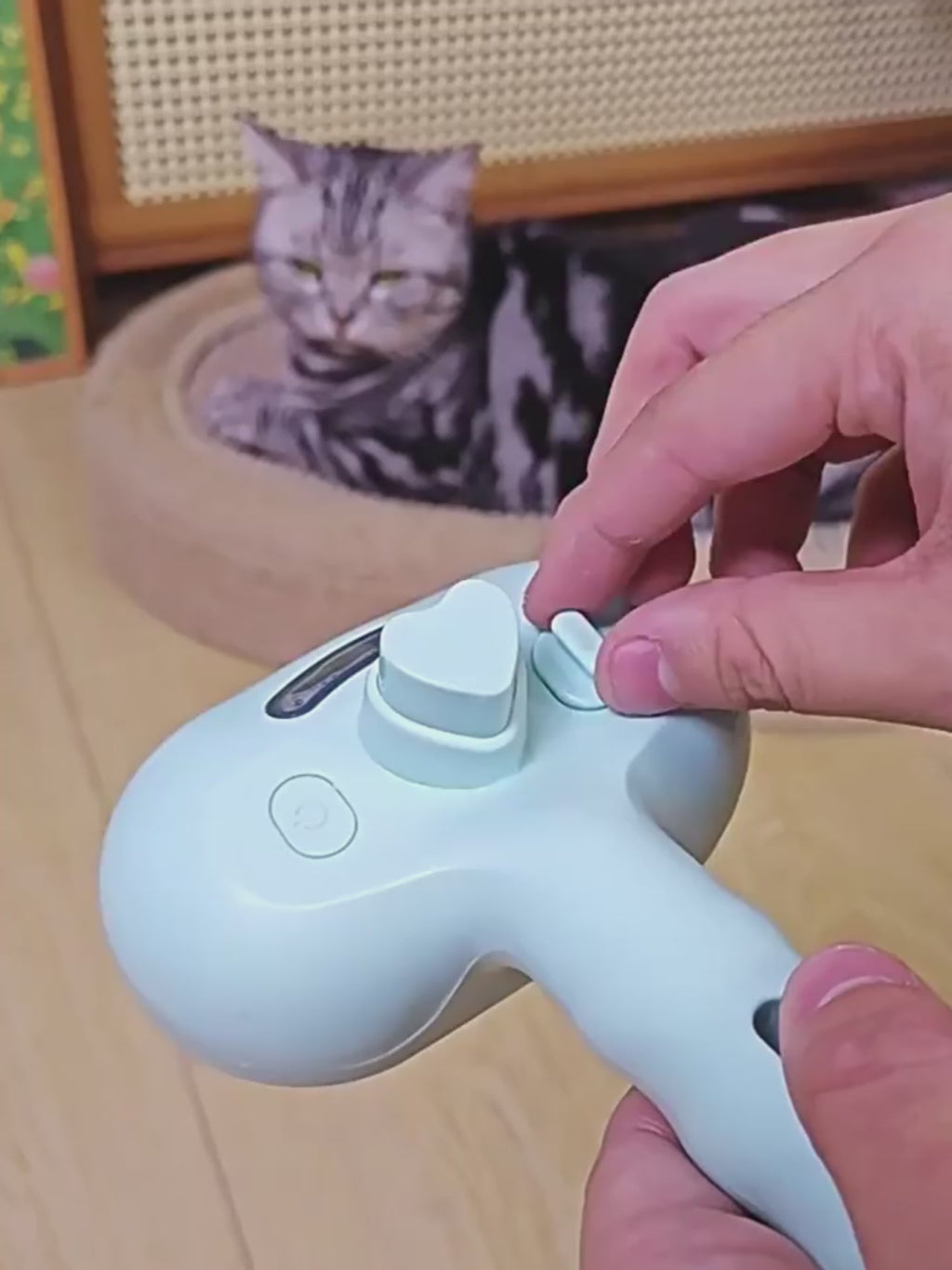 Spoto MistDetangle™ — Escova Desembaraçadora com Névoa de Água